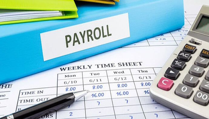 Payroll weekly payouts